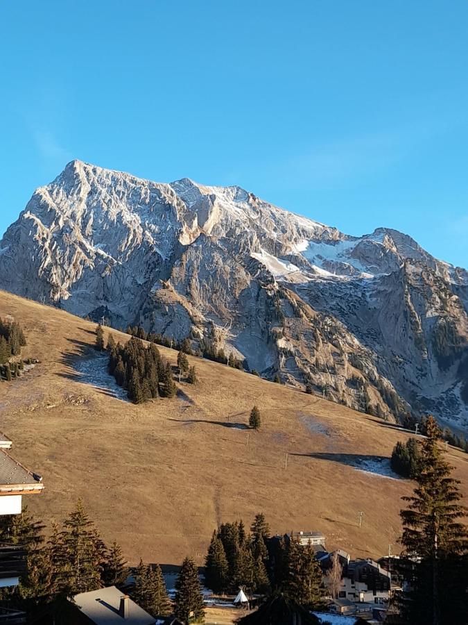 Appartement Au Coeur Des Aravis マニグード エクステリア 写真