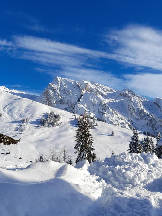 Appartement Au Coeur Des Aravis マニグード エクステリア 写真